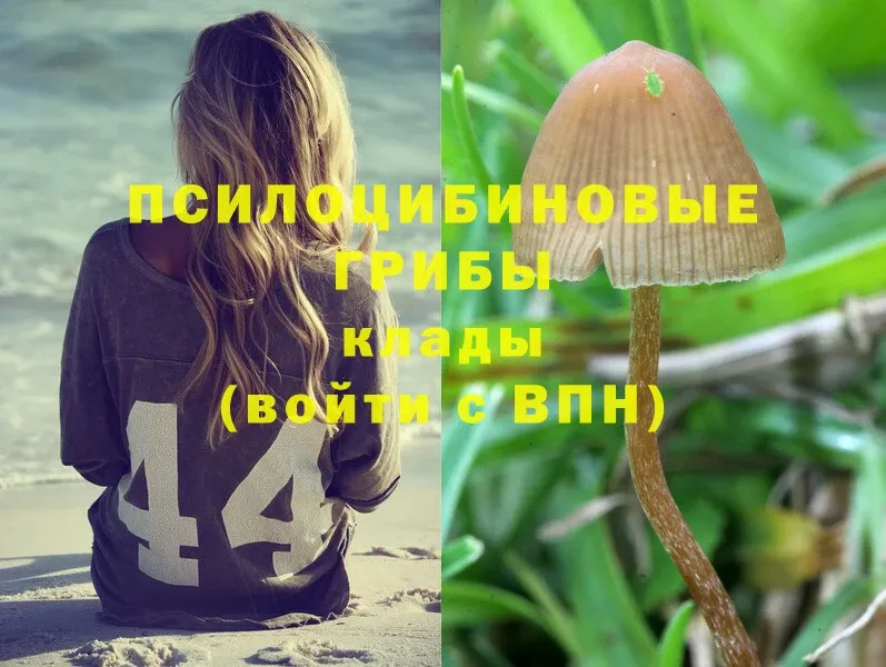 Псилоцибиновые грибы Magic Shrooms  Гусев 