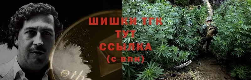 Канабис Ganja  Гусев 